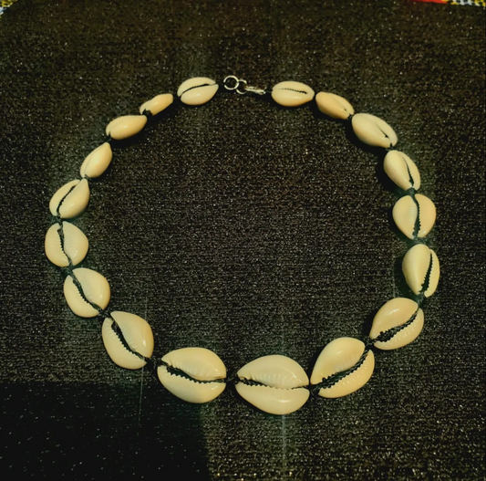 Collier coquillage élégant